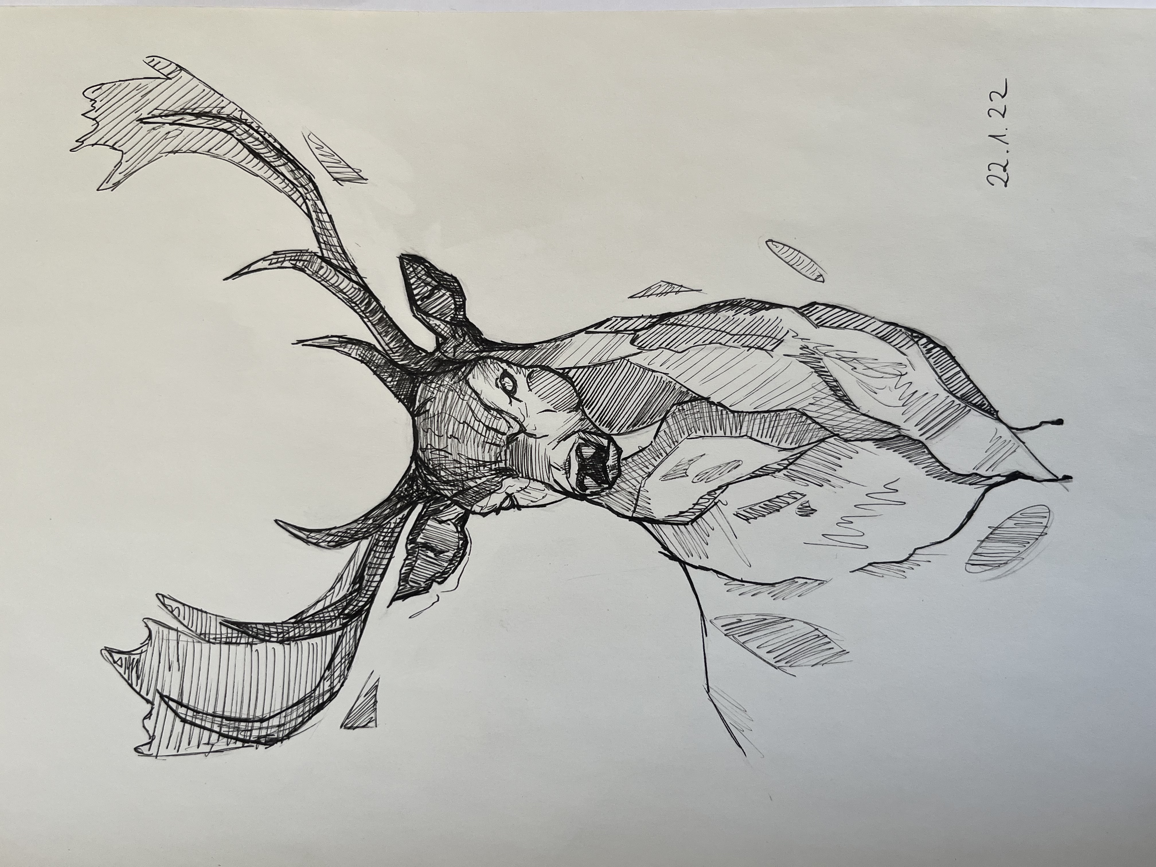 Project 1 - Image A