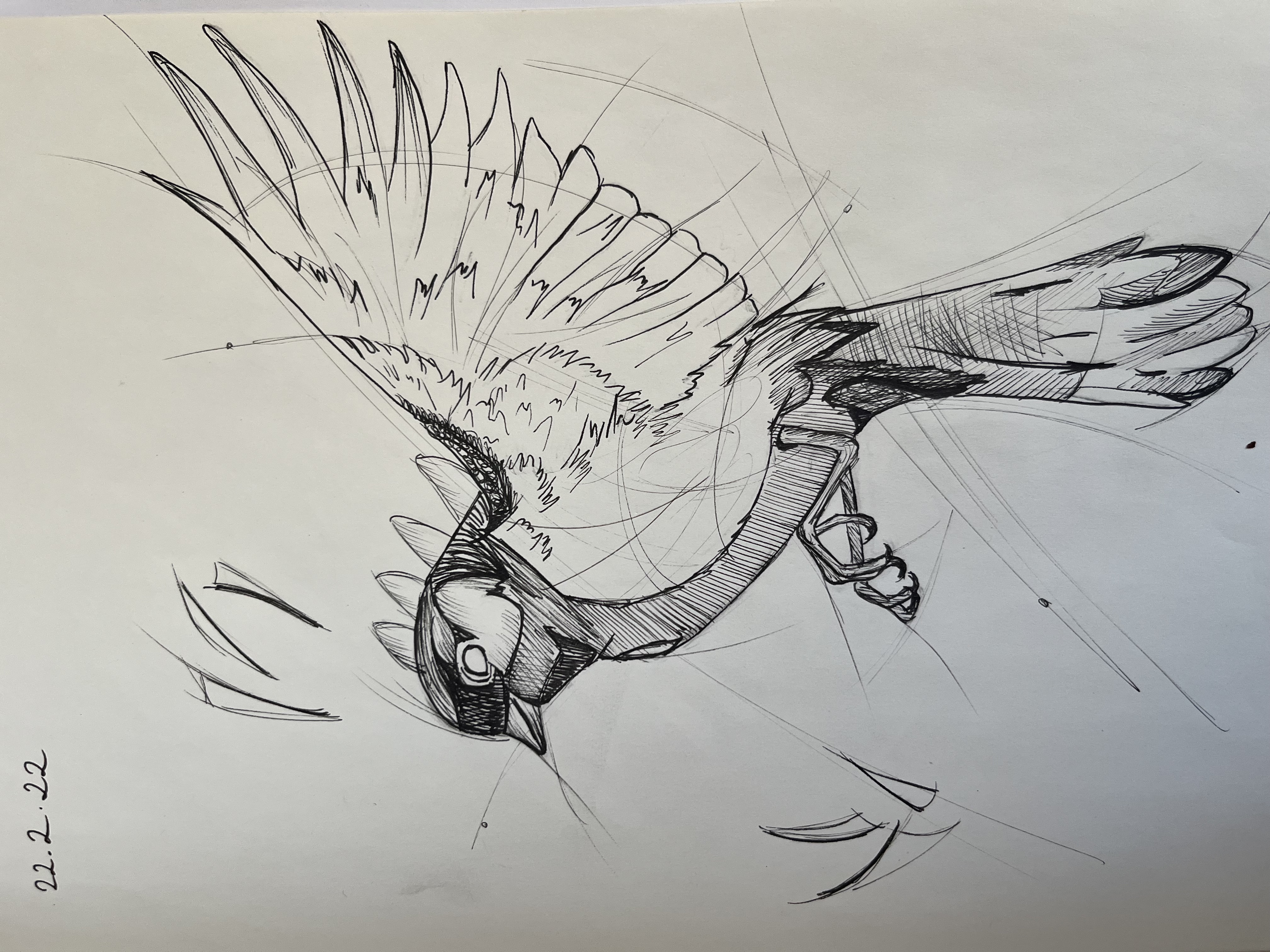 Project 1 - Image B